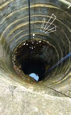 A Meow from the Depths