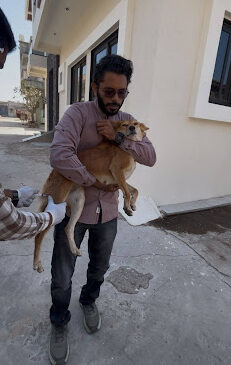 Mission Paw-sible – Rabies Vaccination Drive